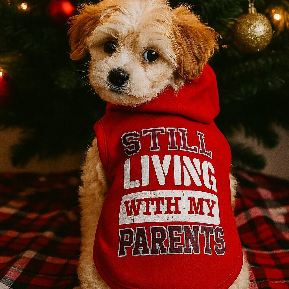 🎄 STILL LIVING WITH MY PARENT Dog Hoodie – Red Christmas Pet Sweatshirt – Small